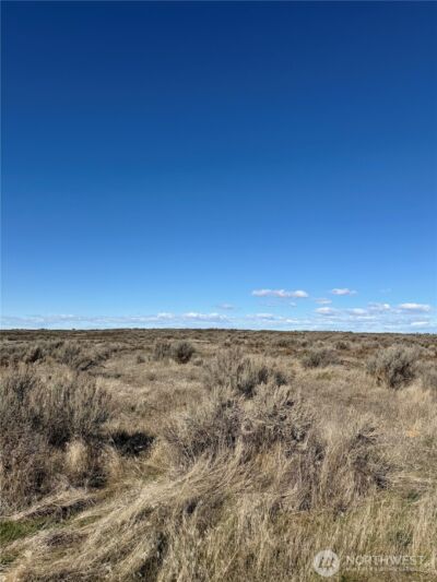 225 Eagle Springs Ranch , Wilson Creek, WA 98860 - Photo 3