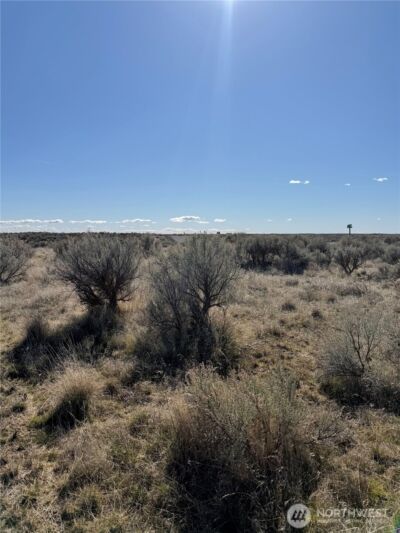 225 Eagle Springs Ranch , Wilson Creek, WA 98860 - Photo 5