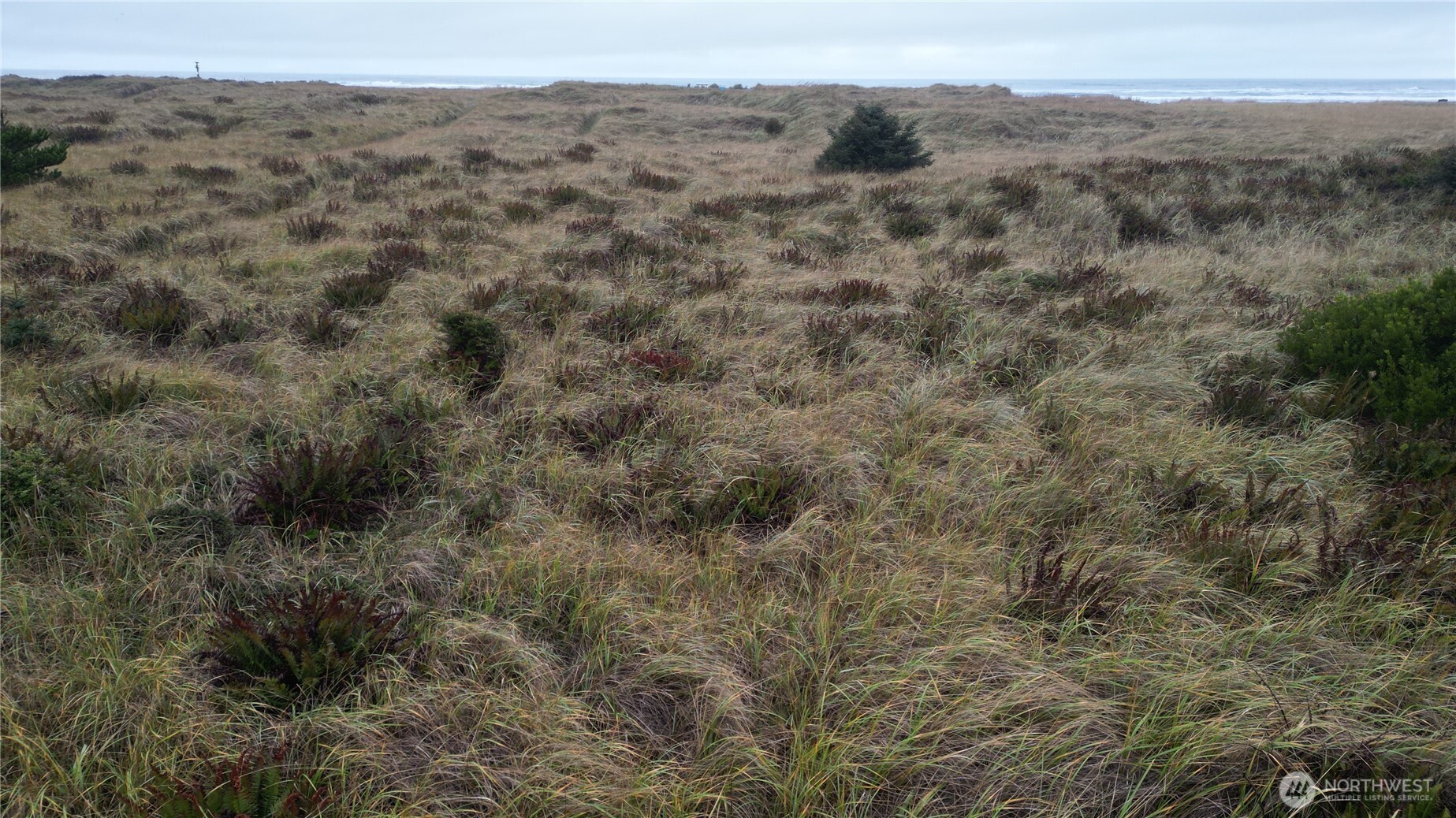 33707 G Street , Ocean Park, WA 98640