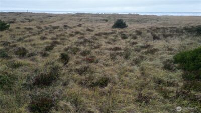 33707 G Street , Ocean Park, WA 98640 - Photo 20