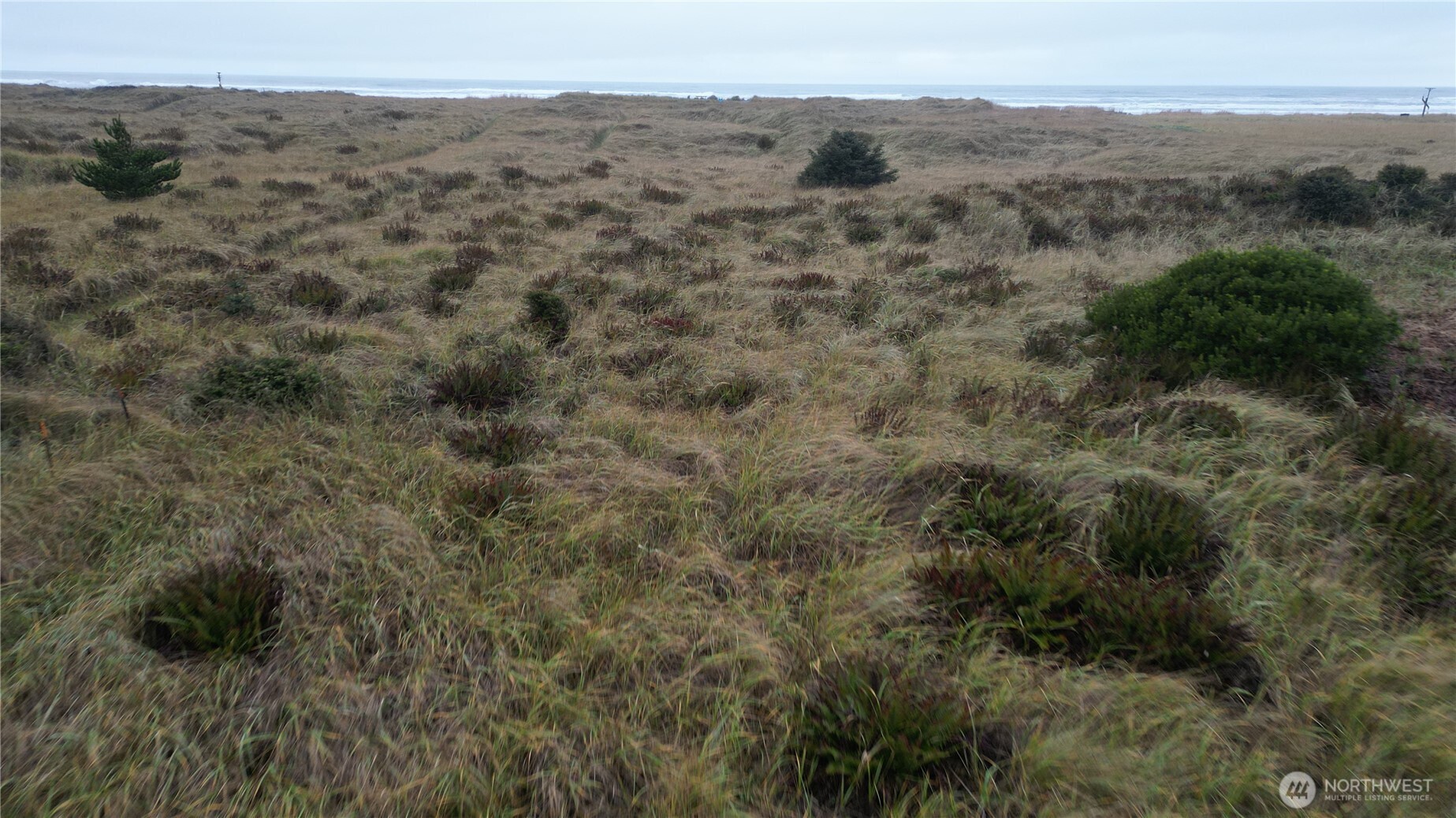 33707 G Street , Ocean Park, WA 98640