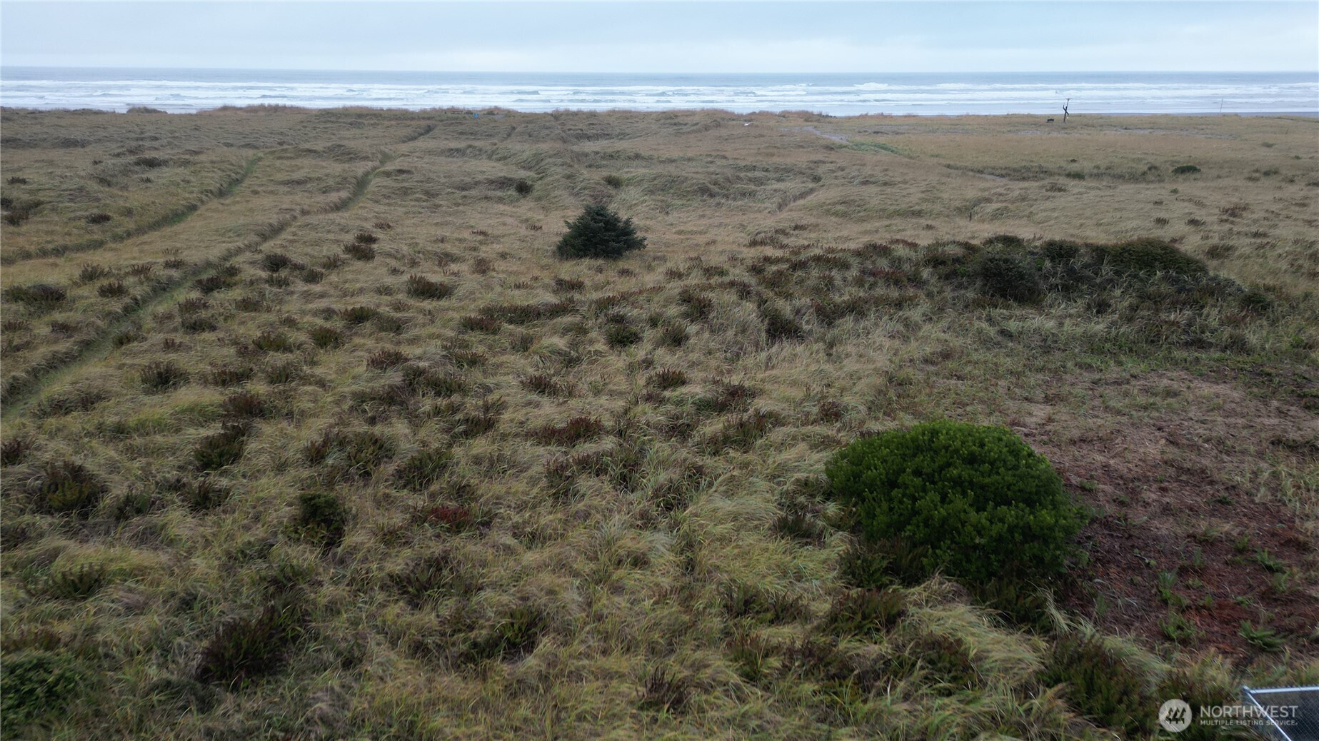 33707 G Street , Ocean Park, WA 98640