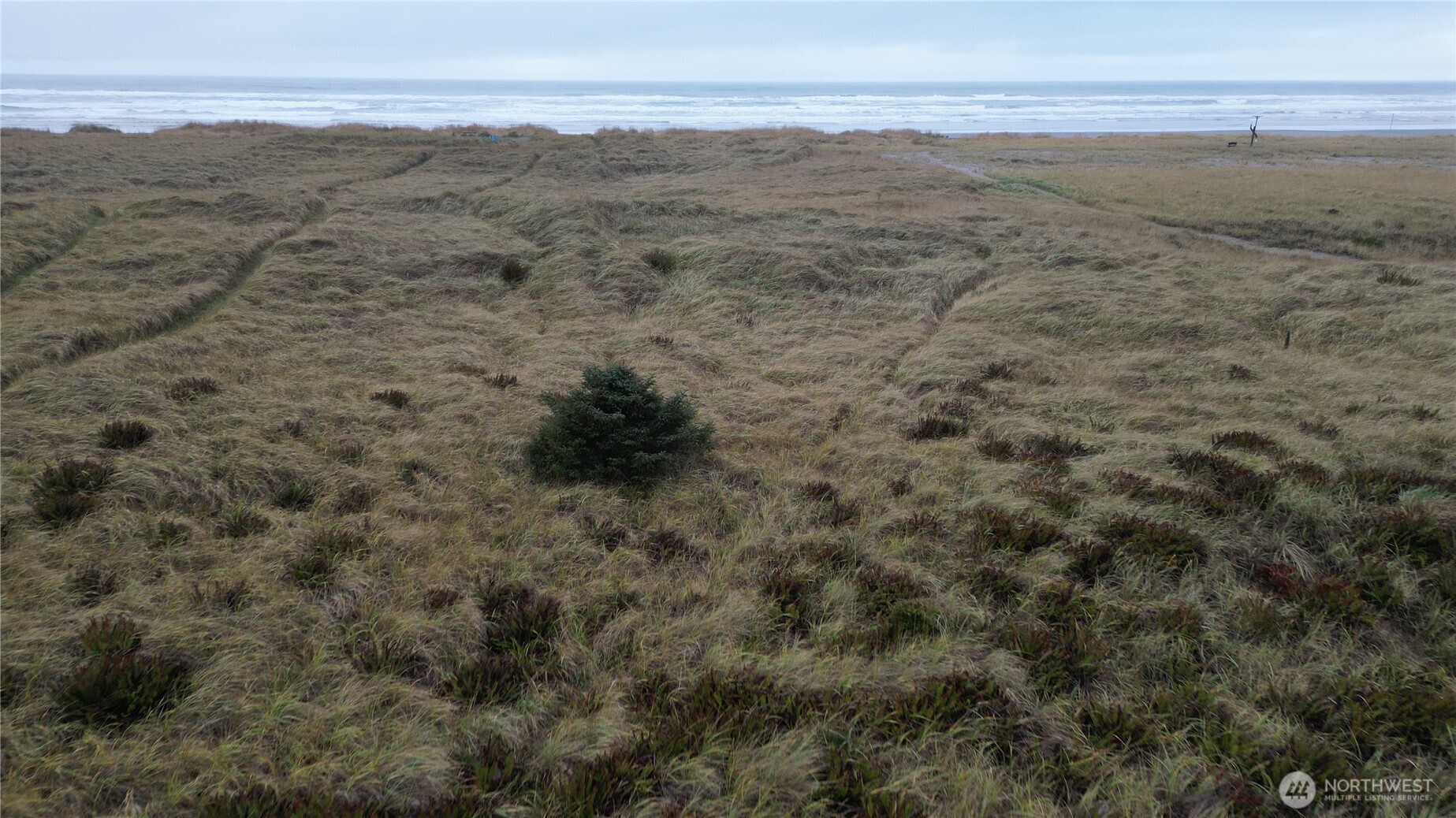 33707 G Street , Ocean Park, WA 98640