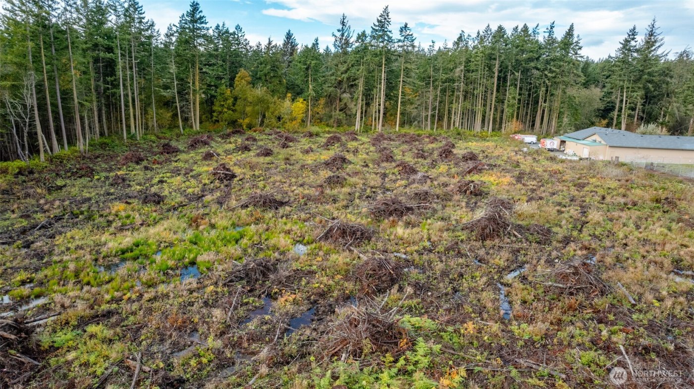 0 NHN Goldie Road , Oak Harbor, WA 98277