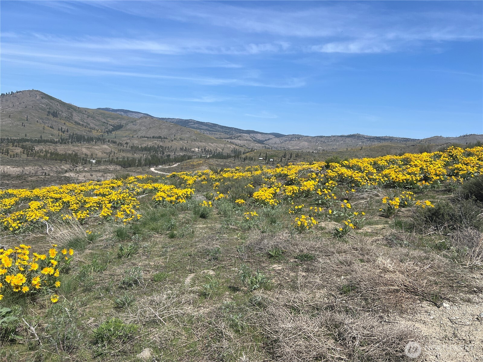 0 Lot 4 High Ranch Rd. , Methow, WA 98834