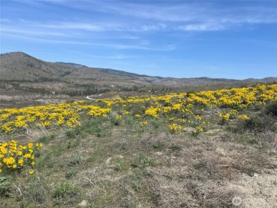 0 Lot 4 High Ranch Rd. , Methow, WA 98834 - Photo 4