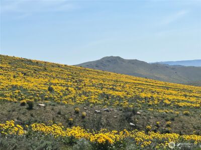 0 Lot 4 High Ranch Rd. , Methow, WA 98834 - Photo 6