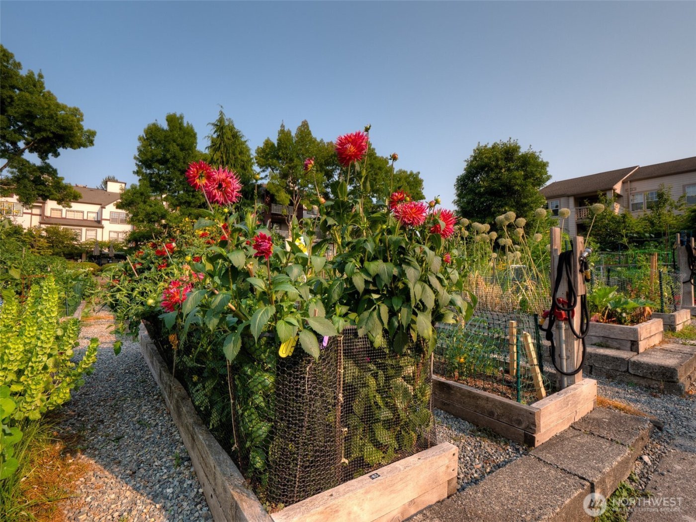 4222 221st Place SE #1081, Issaquah, WA 98029