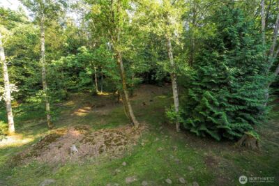 6241 Olson Road , Ferndale, WA 98248 - Photo 36