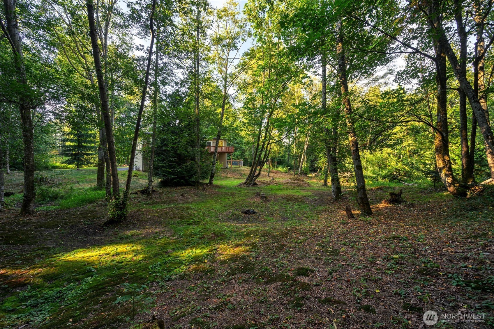 6241 Olson Road , Ferndale, WA 98248