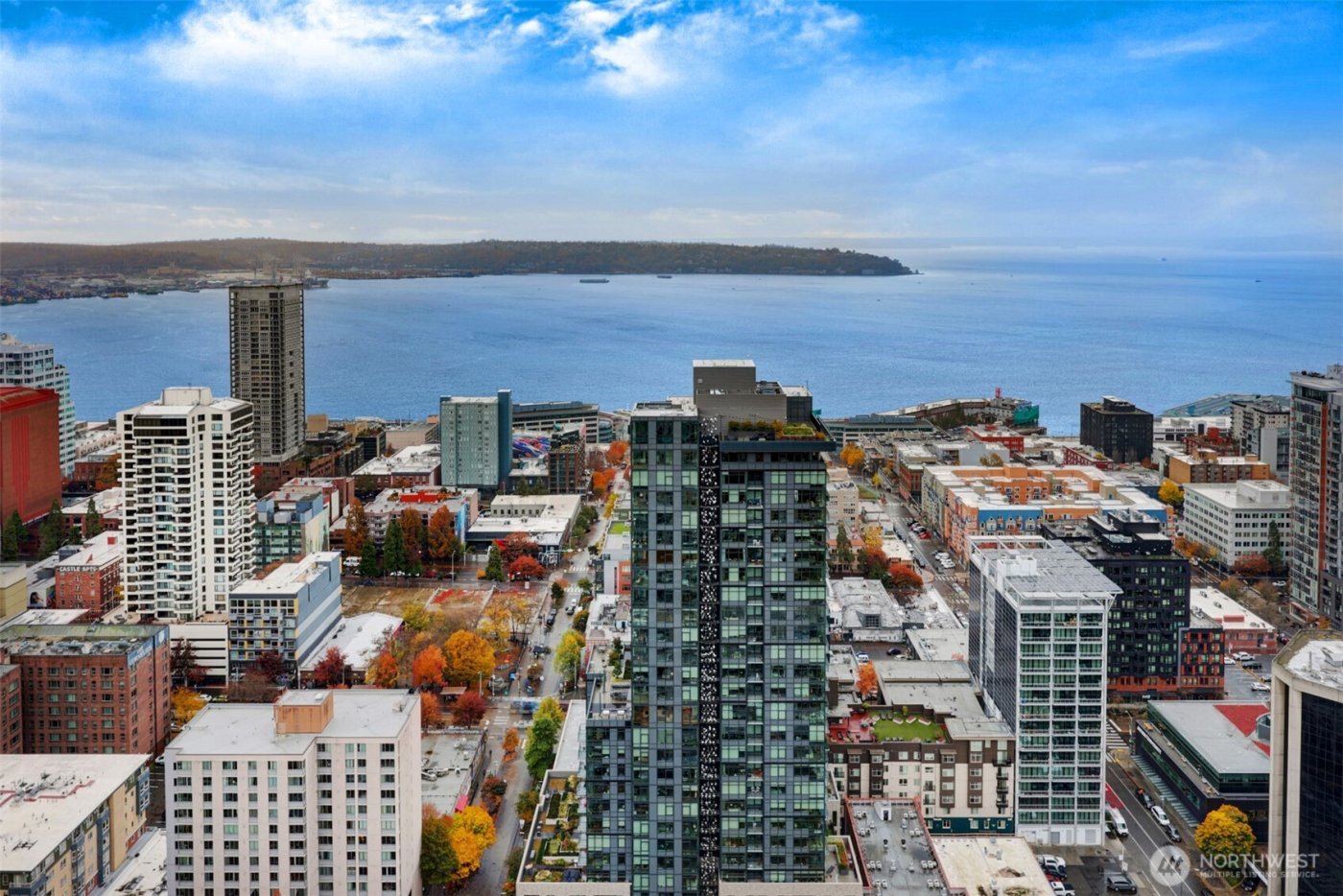 588 Bell Street #2008S, Seattle, WA 98121