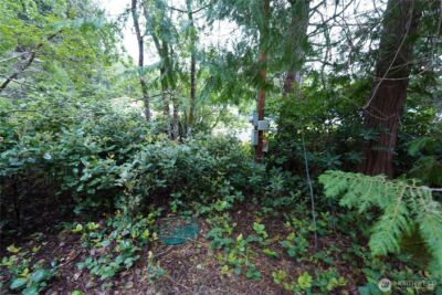 2001 323rd Place , Ocean Park, WA 98640 - Photo 6