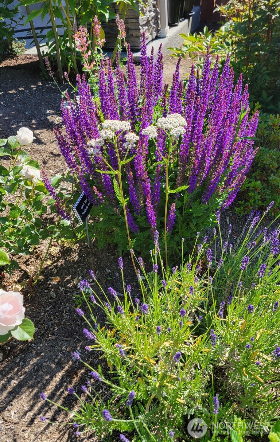 17715 2nd Avenue W, Bothell, WA 98012