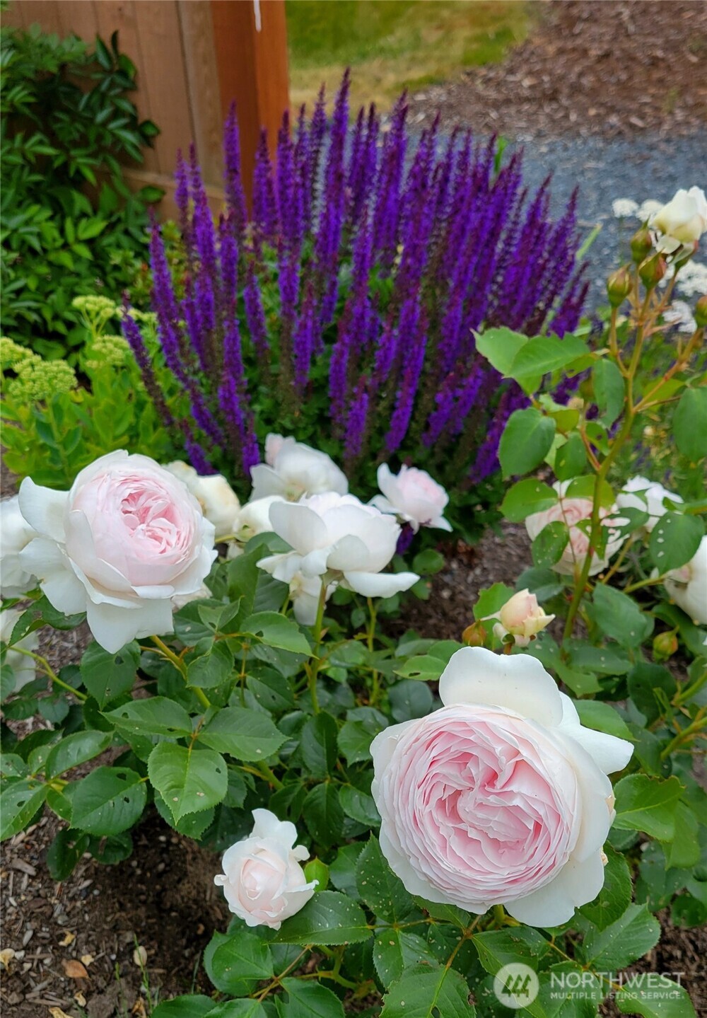 17715 2nd Avenue W, Bothell, WA 98012