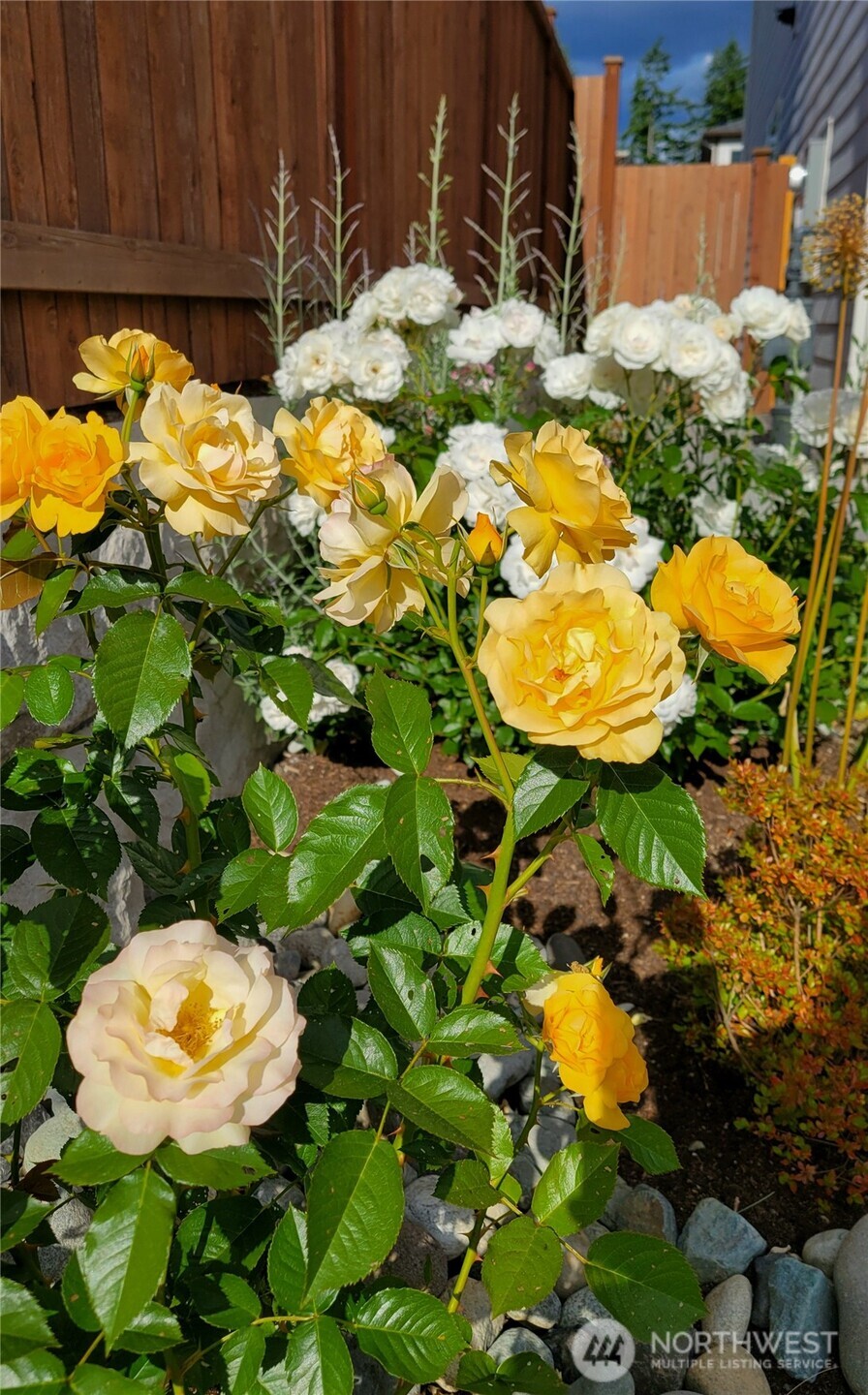 17715 2nd Avenue W, Bothell, WA 98012