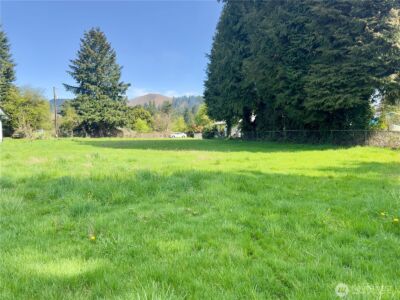 715 NE Pioneer Avenue NE, Castle Rock, WA 98611 - Photo 1