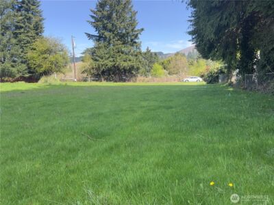 715 NE Pioneer Avenue NE, Castle Rock, WA 98611 - Photo 2