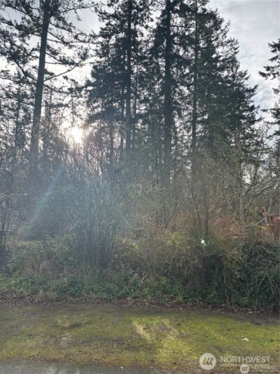 1042 Crest Avenue , Port Townsend, WA 98368 - Photo 4