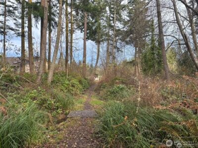 1042 Crest Avenue , Port Townsend, WA 98368 - Photo 7