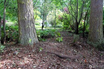 1042 Crest Avenue , Port Townsend, WA 98368 - Photo 8