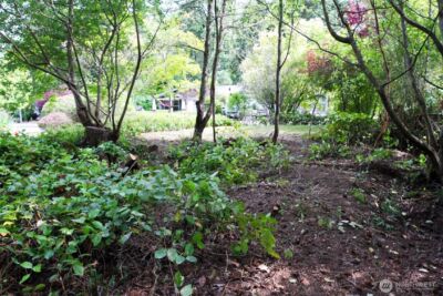 1042 Crest Avenue , Port Townsend, WA 98368 - Photo 9