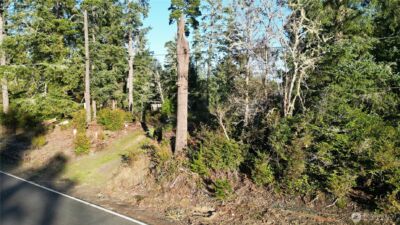 27602 U Street , Ocean Park, WA 98640 - Photo 3