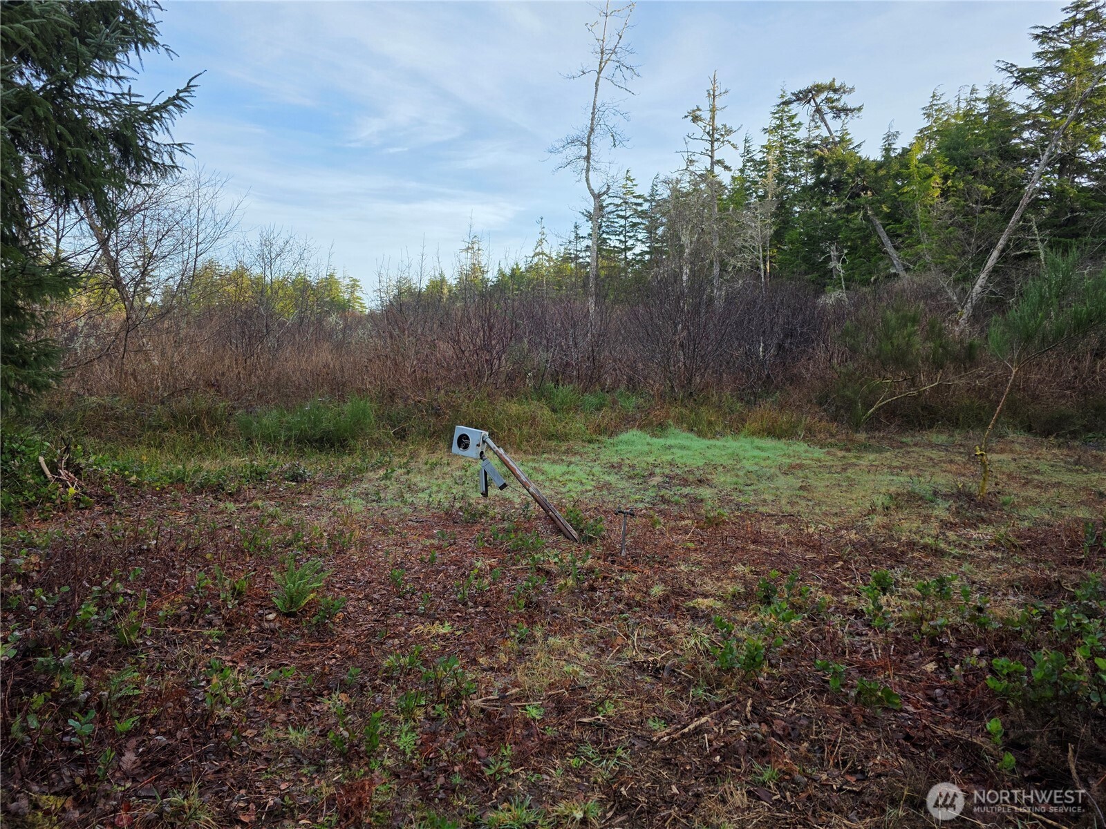 3011 202nd Street , Ocean Park, WA 98640