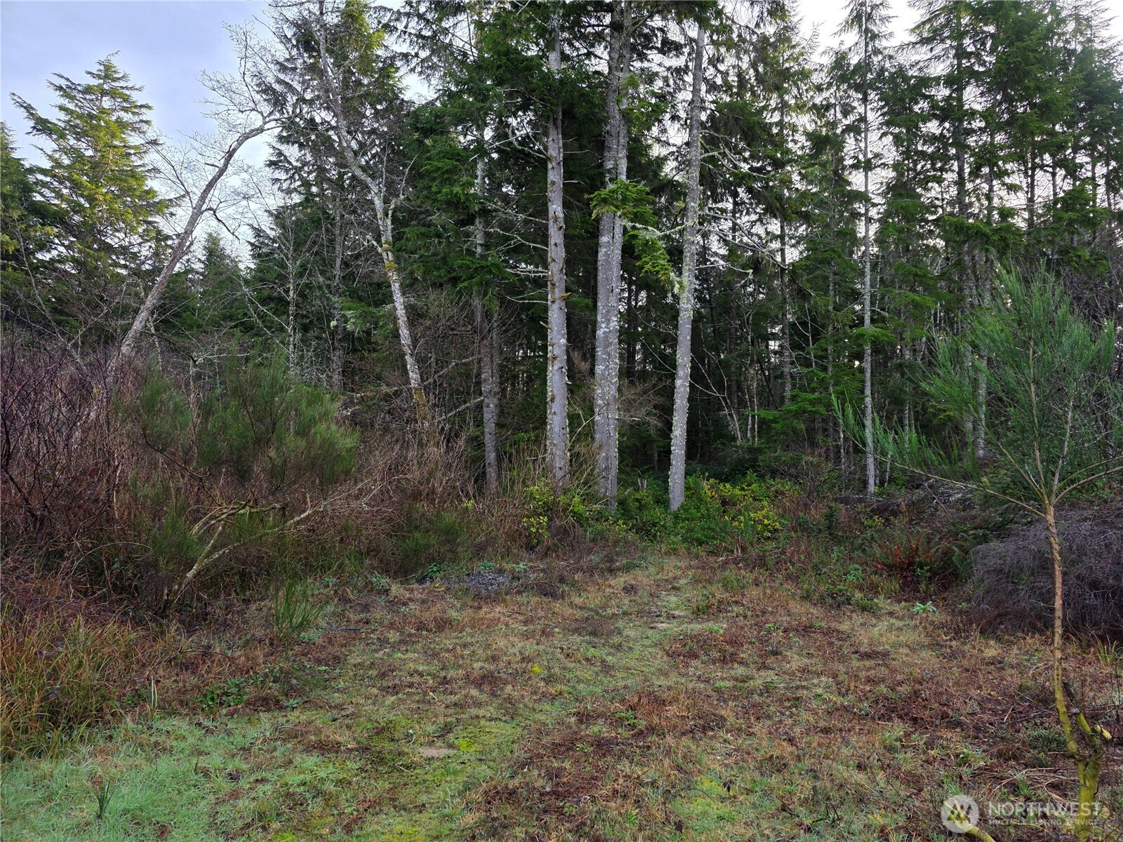 3011 202nd Street , Ocean Park, WA 98640