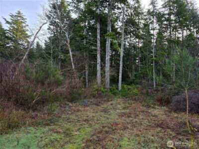 3011 202nd Street , Ocean Park, WA 98640 - Photo 6