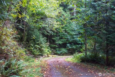 157 Chuckanut Crest Drive , Bellingham, WA 98229 - Photo 11