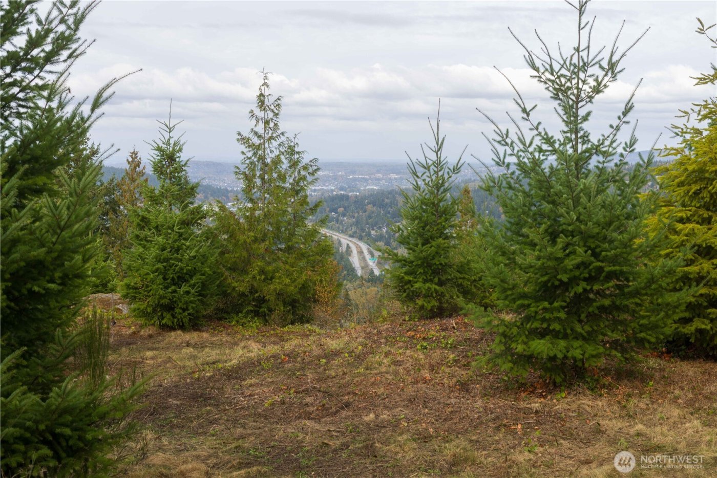 157 Chuckanut Crest Drive , Bellingham, WA 98229