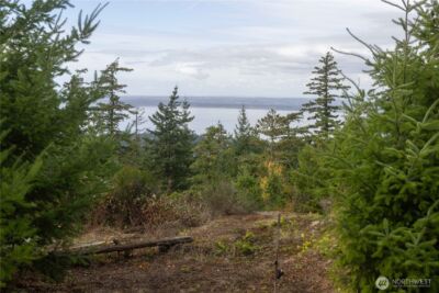 157 Chuckanut Crest Drive , Bellingham, WA 98229 - Photo 15