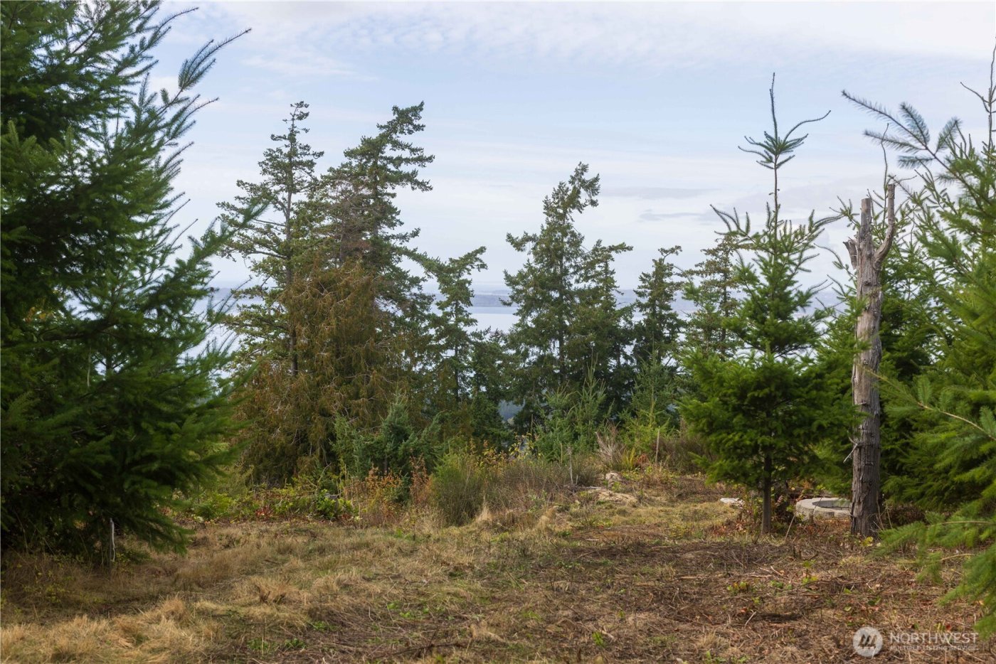 157 Chuckanut Crest Drive , Bellingham, WA 98229