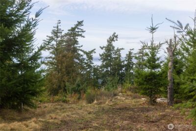 157 Chuckanut Crest Drive , Bellingham, WA 98229 - Photo 17