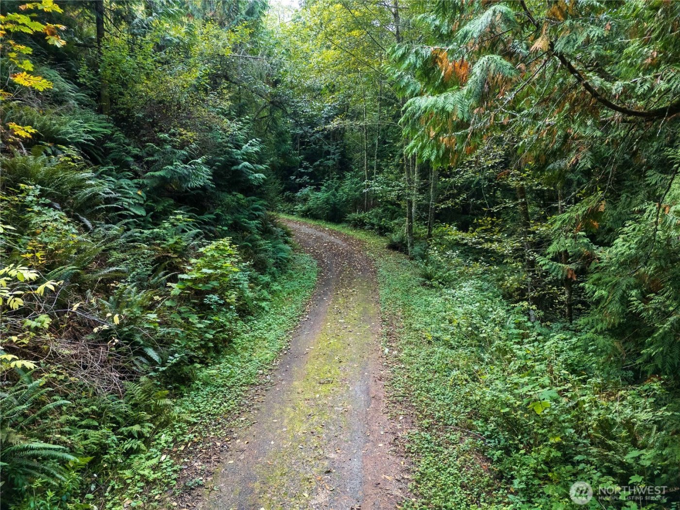 157 Chuckanut Crest Drive , Bellingham, WA 98229