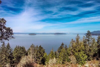 87 Conifer Lane , Friday Harbor, WA 98250-6941 - Photo 4