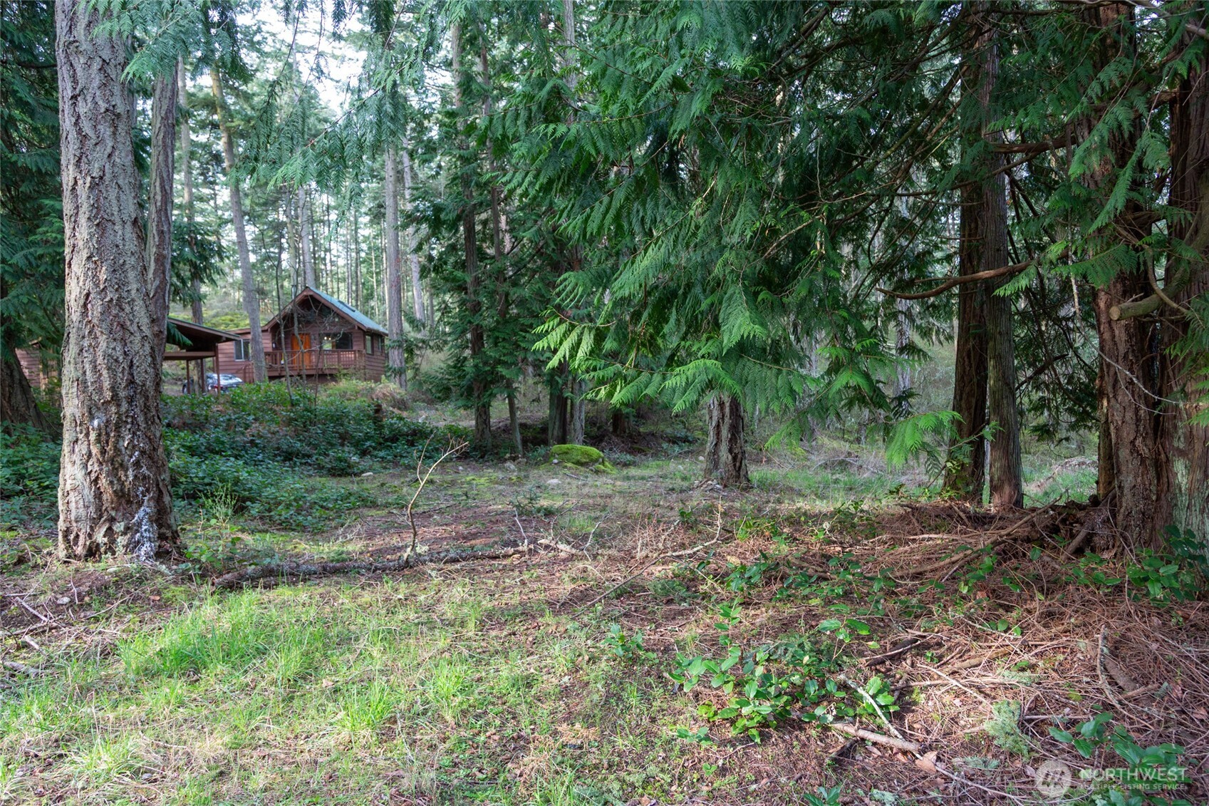87 Conifer Lane , Friday Harbor, WA 98250-6941