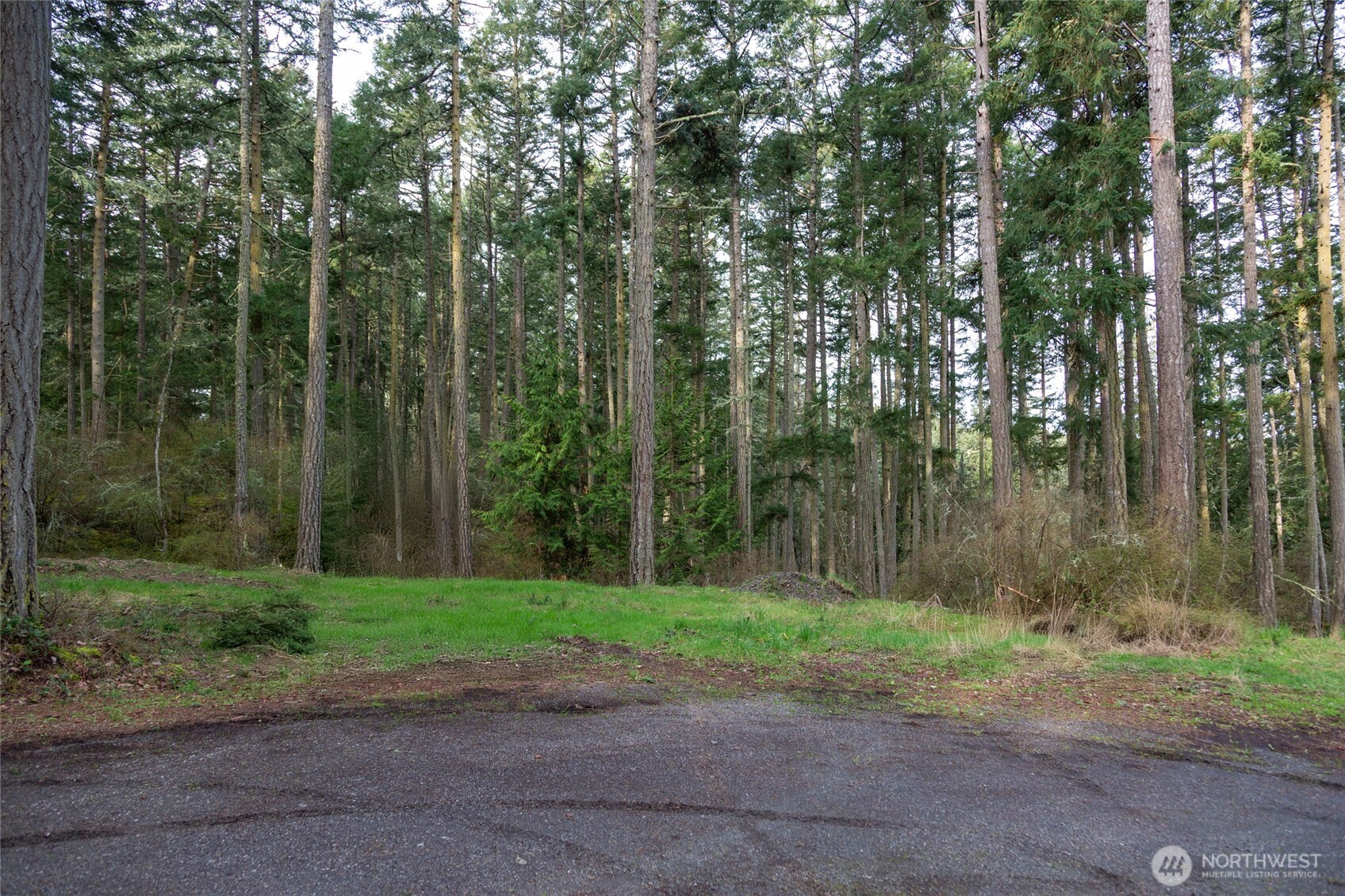 87 Conifer Lane , Friday Harbor, WA 98250-6941