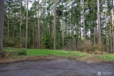 87 Conifer Lane , Friday Harbor, WA 98250-6941 - Photo 8