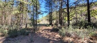 25999 Skyview Place E, Creston, WA 99147 - Photo 2