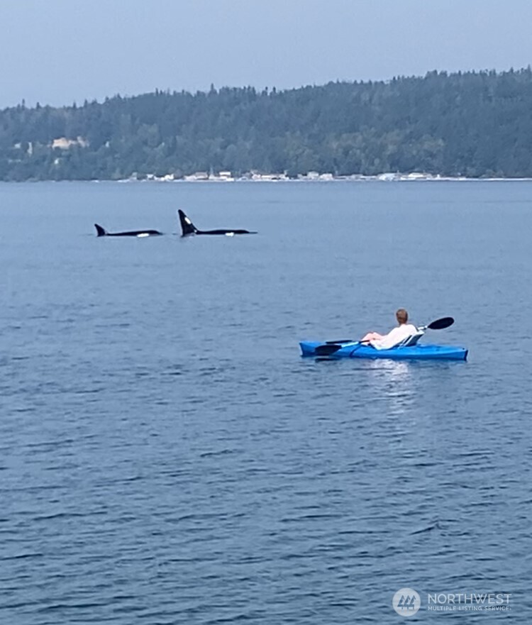 3151 Shoreline Drive , Camano Island, WA 98282