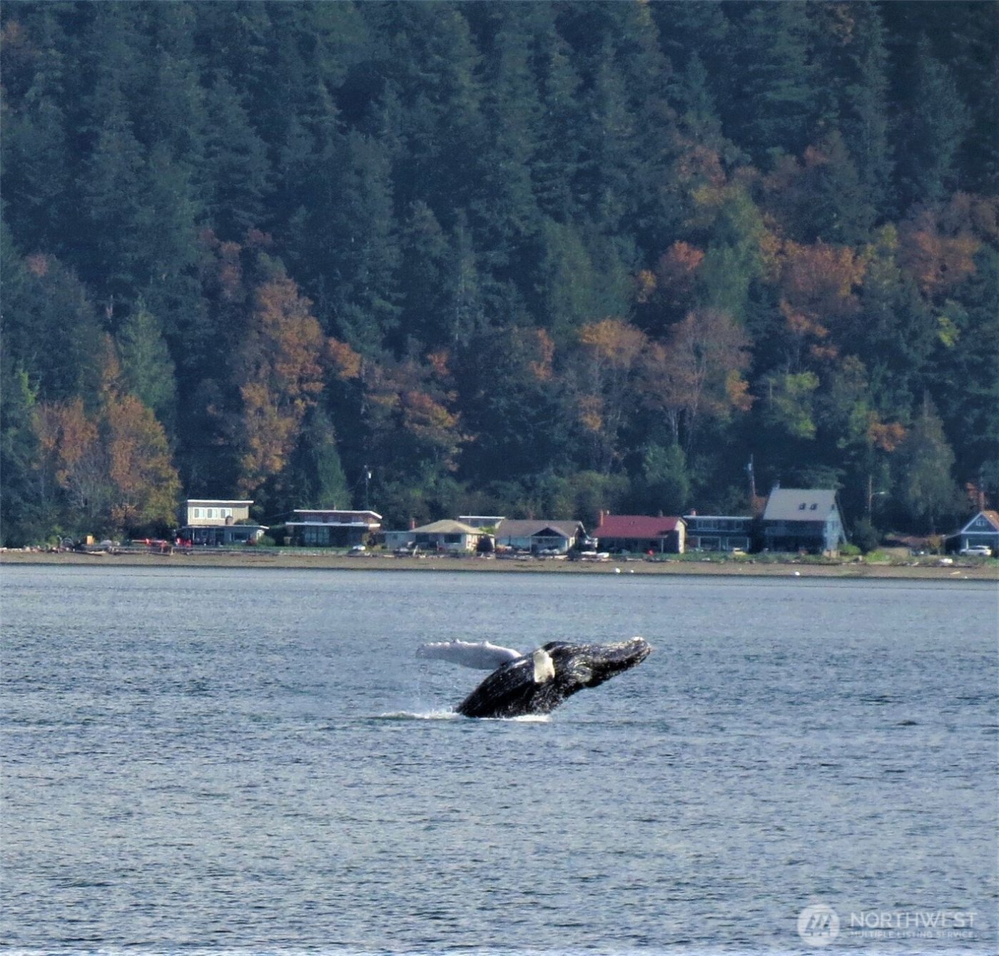 3151 Shoreline Drive , Camano Island, WA 98282