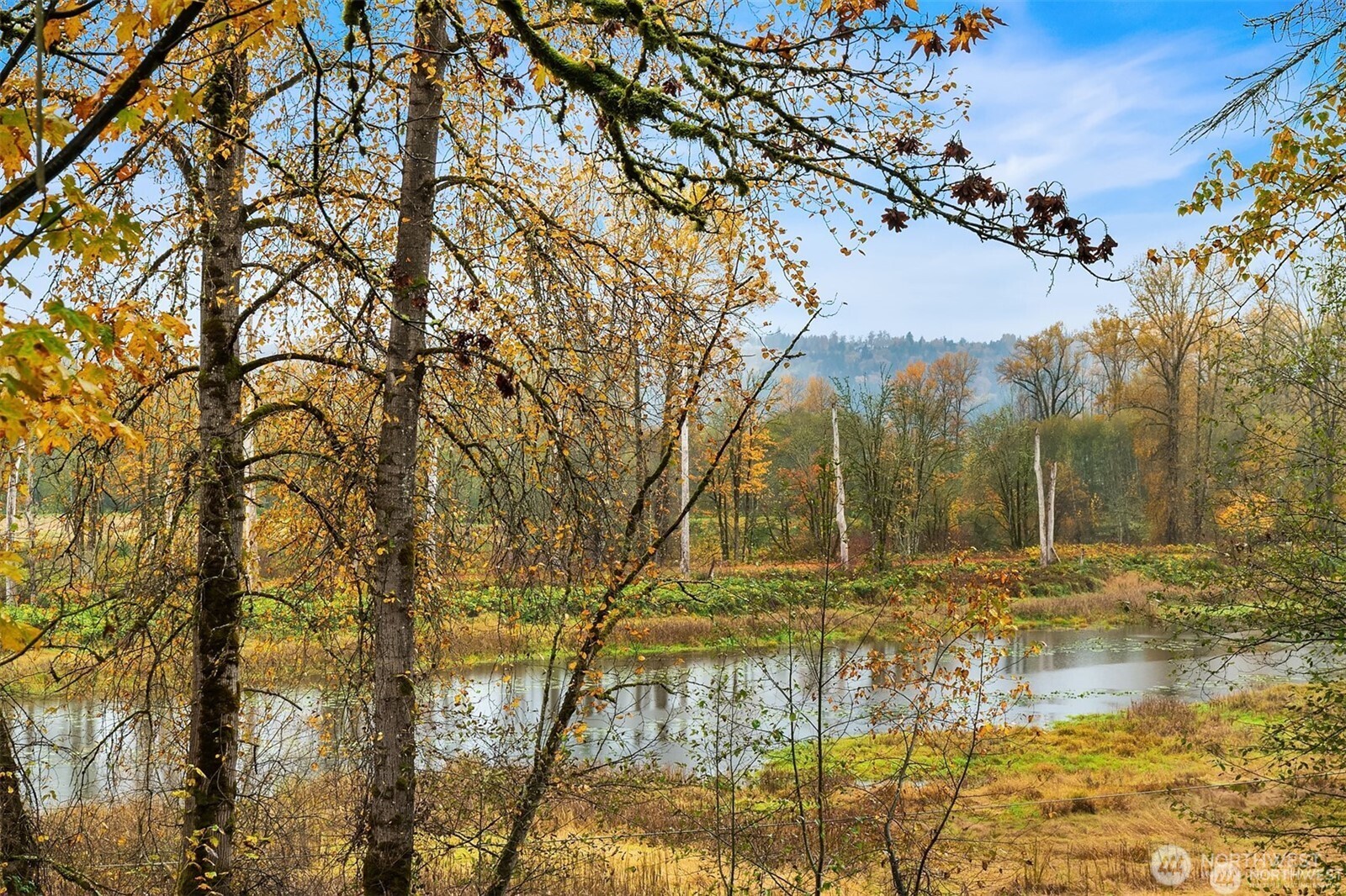 10304 296th Avenue NE, Carnation, WA 98014