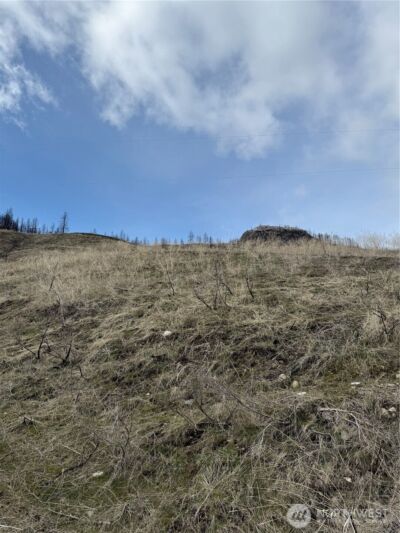 28 Eagles Bluff Road , Oroville, WA 98844 - Photo 3