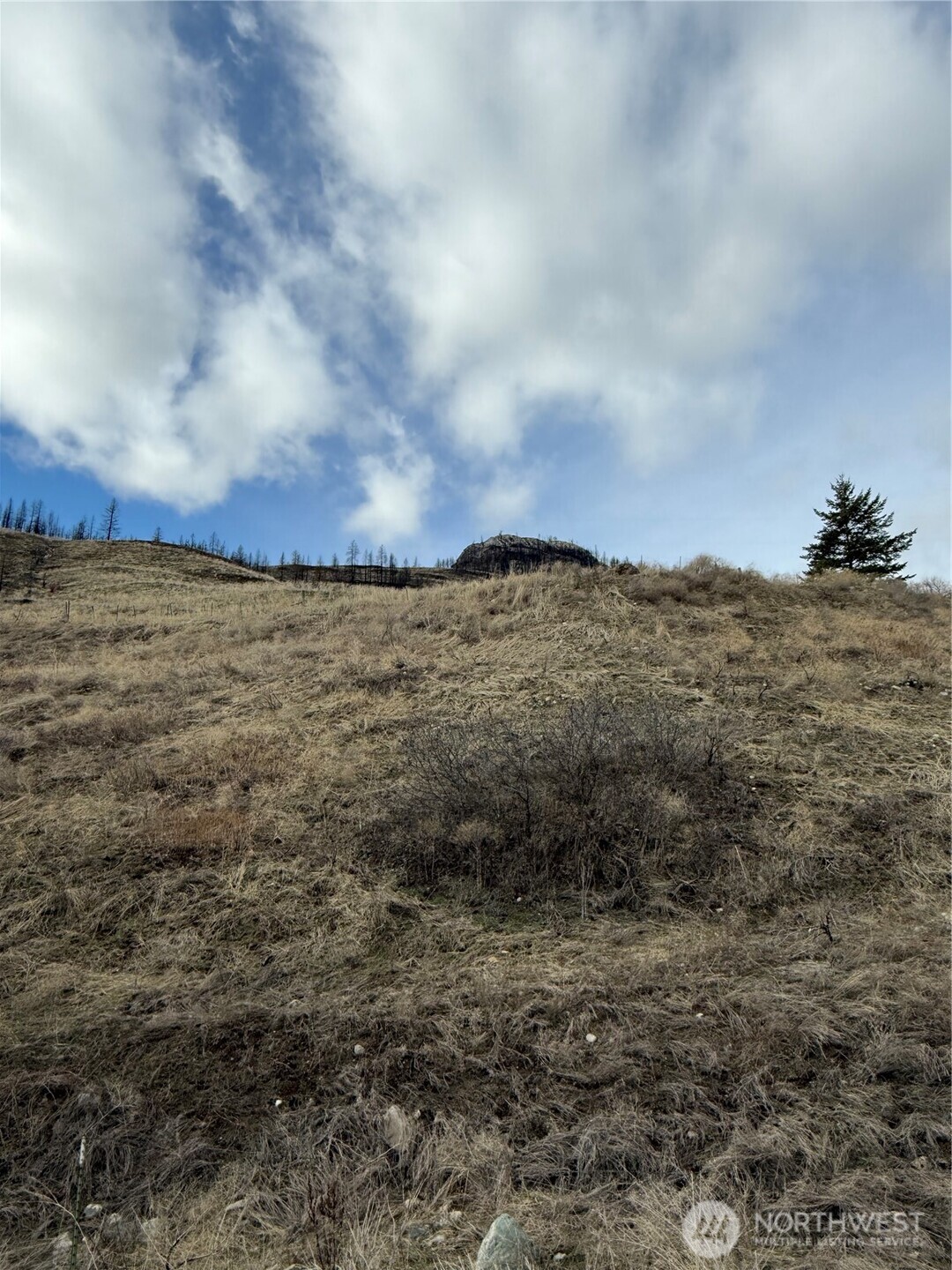 28 Eagles Bluff Road , Oroville, WA 98844