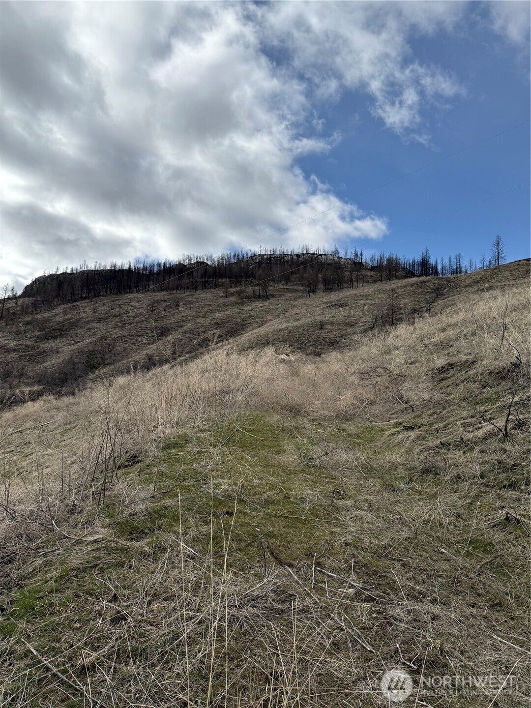 28 Eagles Bluff Road , Oroville, WA 98844