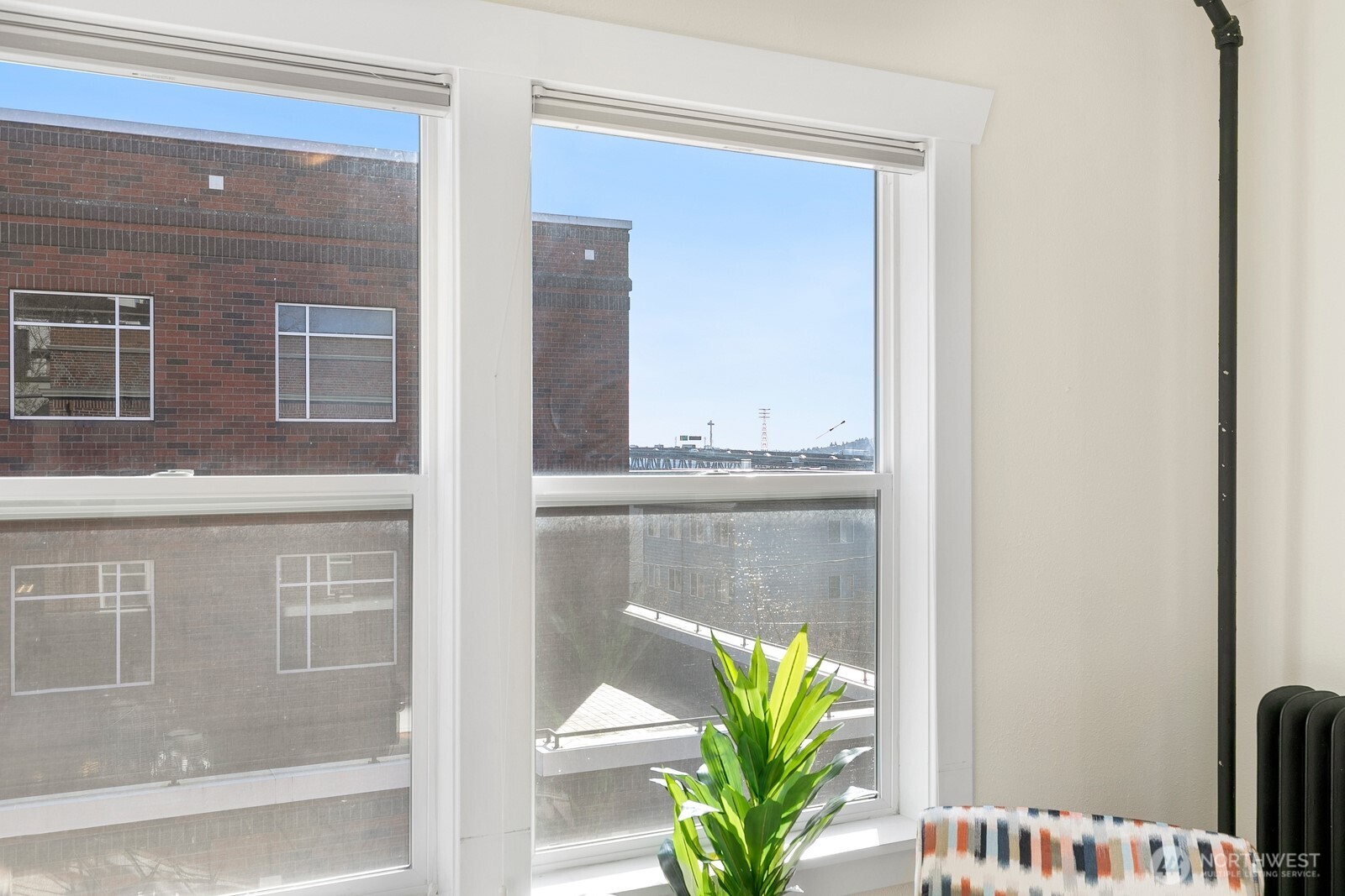 901 NE 43rd Street #306, Seattle, WA 98105