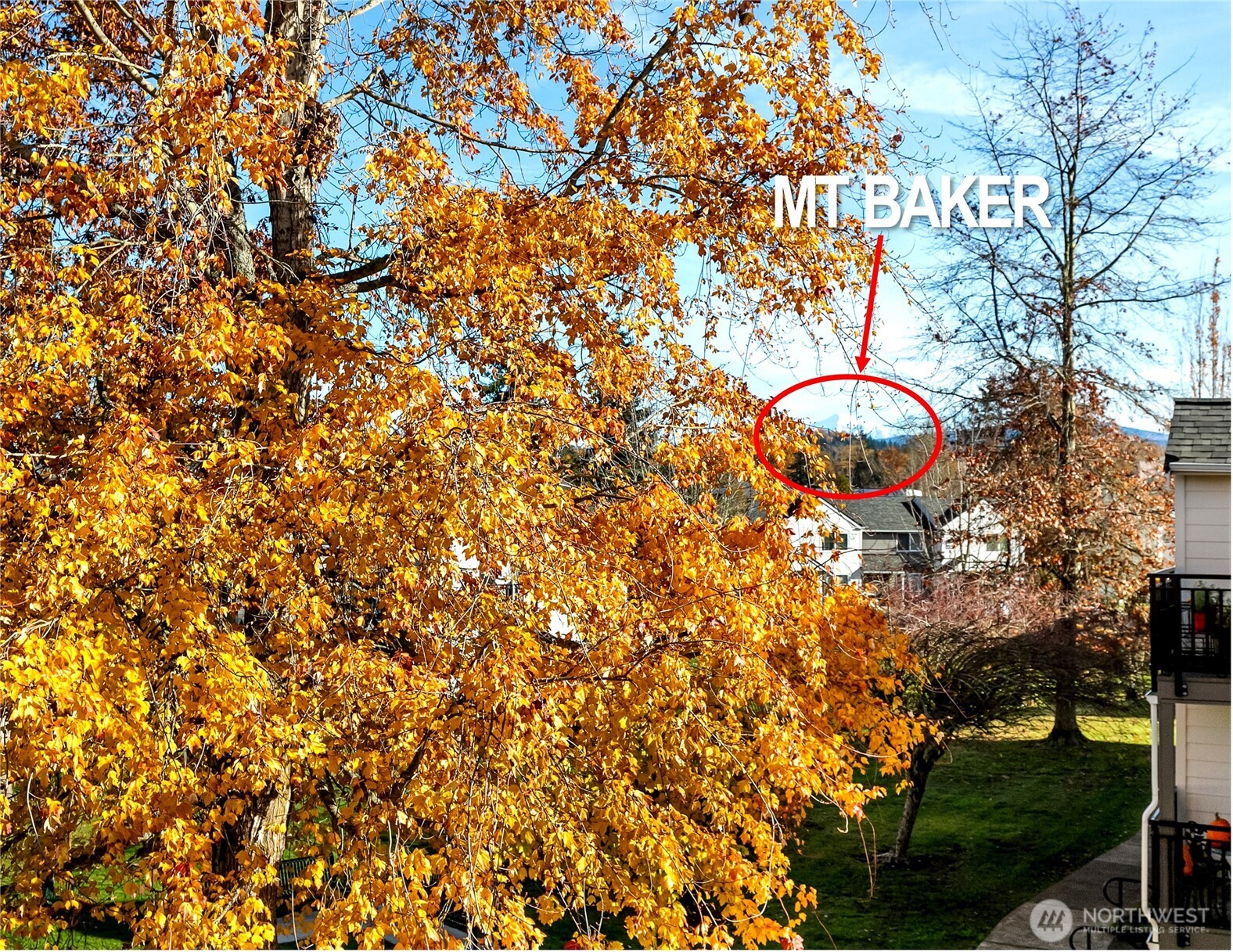 4244 Wintergreen Circle #368, Bellingham, WA 98226