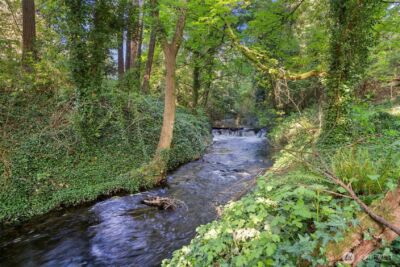 11202 Greystone Drive SW, Lakewood, WA 98499 - Photo 36