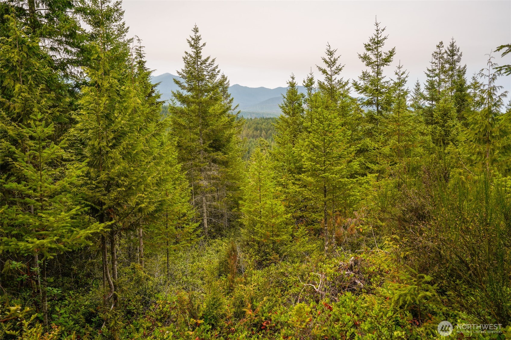 0 N Hamma Ridge Court , Lilliwaup, WA 98555